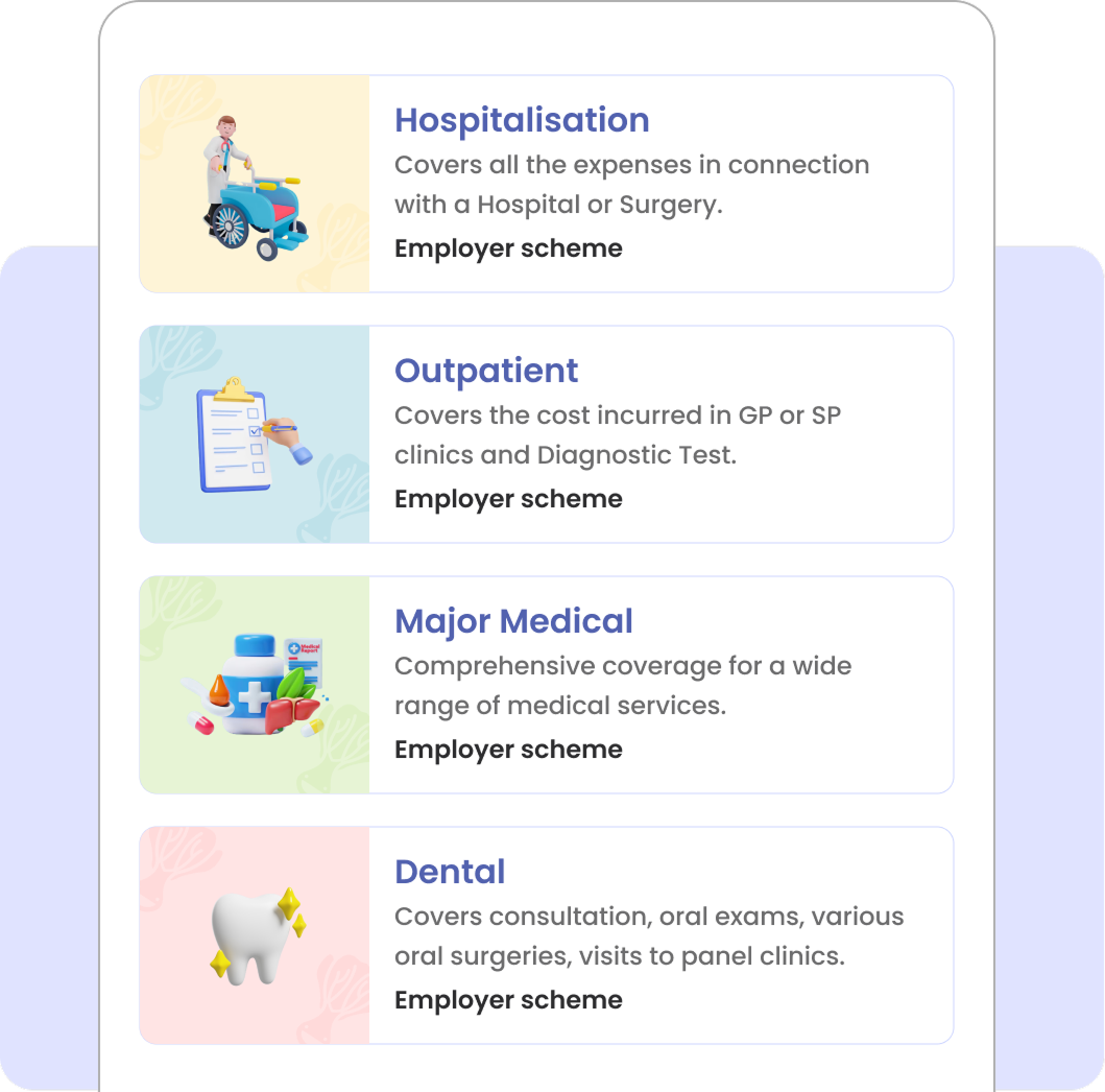 Employer scheme cover: hospitalisation, outpatient, major medical and dental.